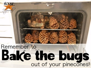 bake_pinecones_critters_hoh_2